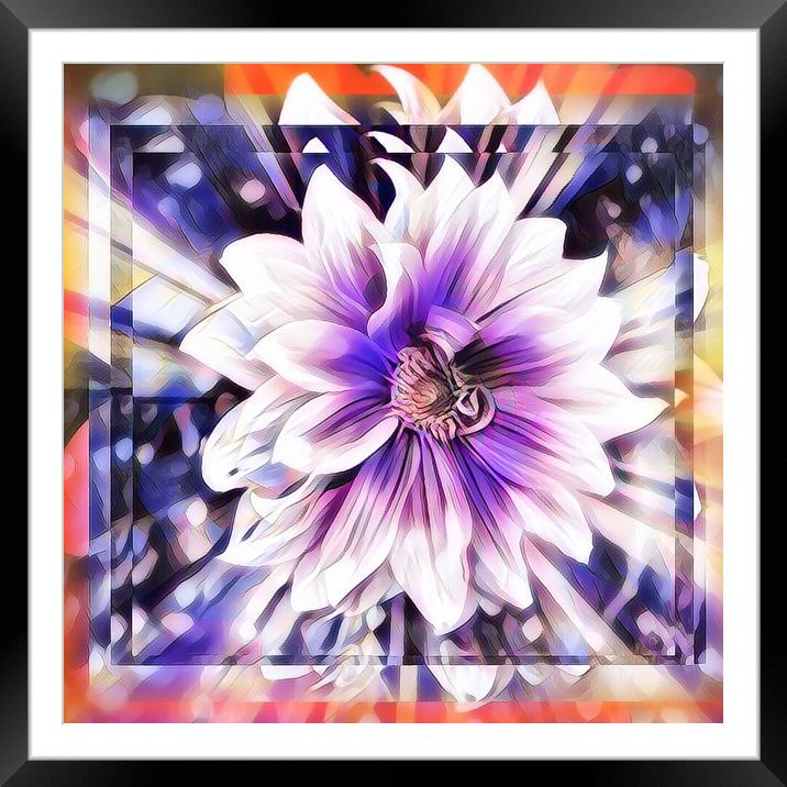 Vibrant Bloom Framed Mounted Print by Beryl Curran