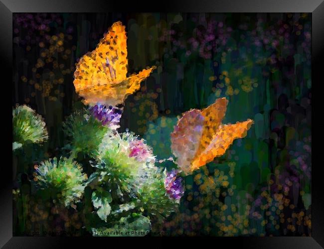 Orange Butterflies on Purple Thistles Framed Print by Beryl Curran