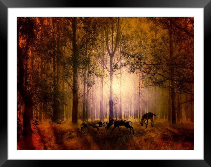 Enchanted Nighttime Rutting Deers Framed Mounted Print by Beryl Curran