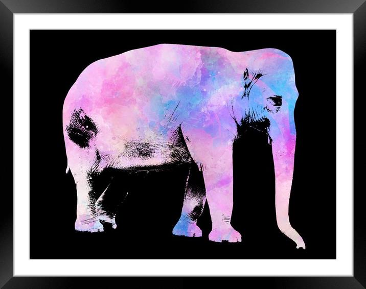 Painted pink  Elephant  Framed Mounted Print by Beryl Curran