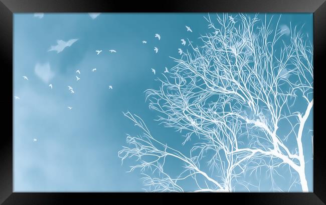 Winters Mystical Tree Framed Print by Beryl Curran