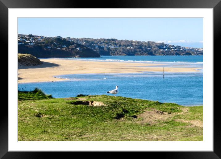 Majestic Seagull Takes Flight Framed Mounted Print by Beryl Curran