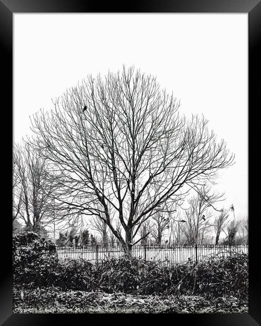 Melancholic Winter Tree Framed Print by Beryl Curran