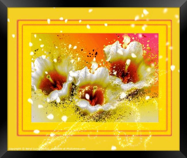 Bursting with Joy Framed Print by Beryl Curran