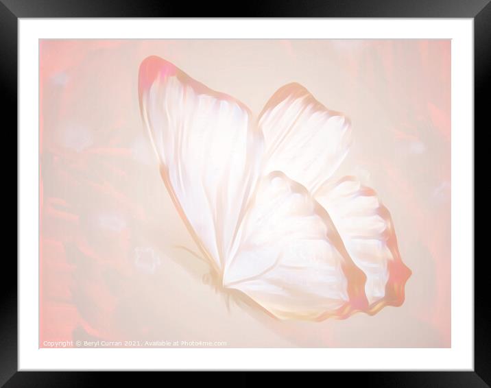 Fluttering Beauty Framed Mounted Print by Beryl Curran