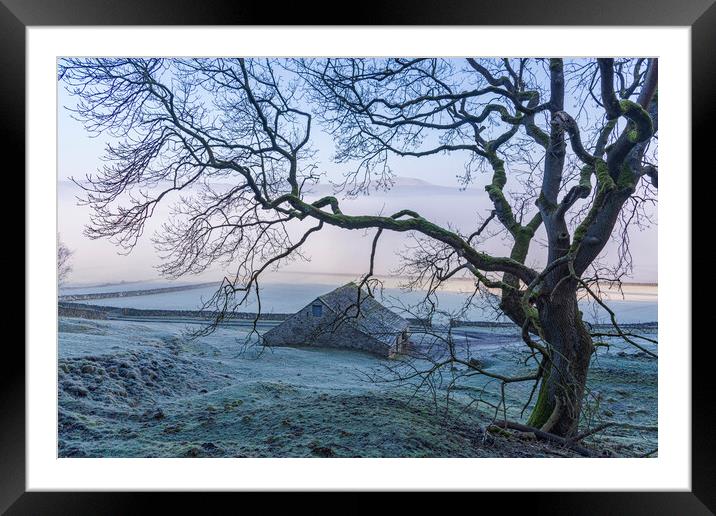 Hope Valley Tree & Barn Framed Mounted Print by John Finney