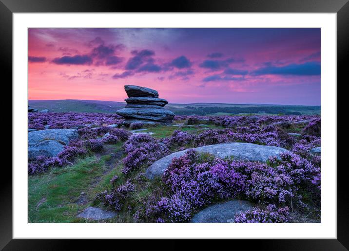 Wild Heather at dawn Framed Mounted Print by John Finney