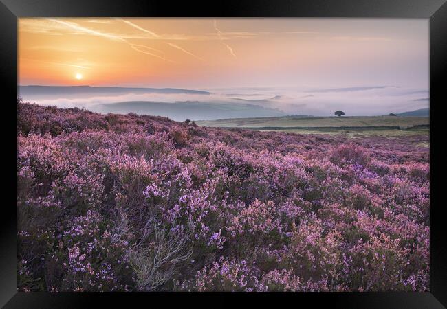 Crookstone Knoll Purple Sunrise Framed Print by John Finney