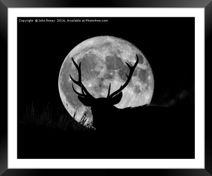 Wild Stag silhouetted with a full moon Framed Mounted Print by John Finney