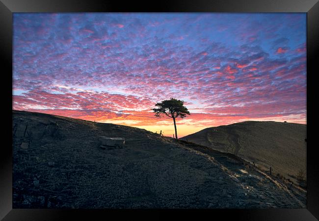 Back Tor Tree sunrise, Peak District. UK Framed Print by John Finney