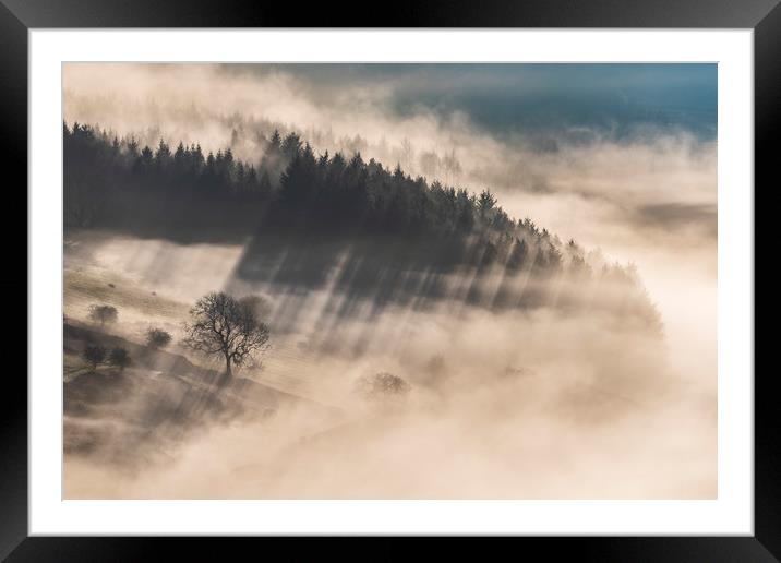 Woodland in the mist near Chatsworth Framed Mounted Print by John Finney