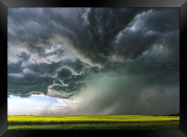 Canola Thunderstorm, Canada Framed Print by John Finney