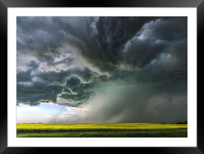 Canola Thunderstorm, Canada Framed Mounted Print by John Finney