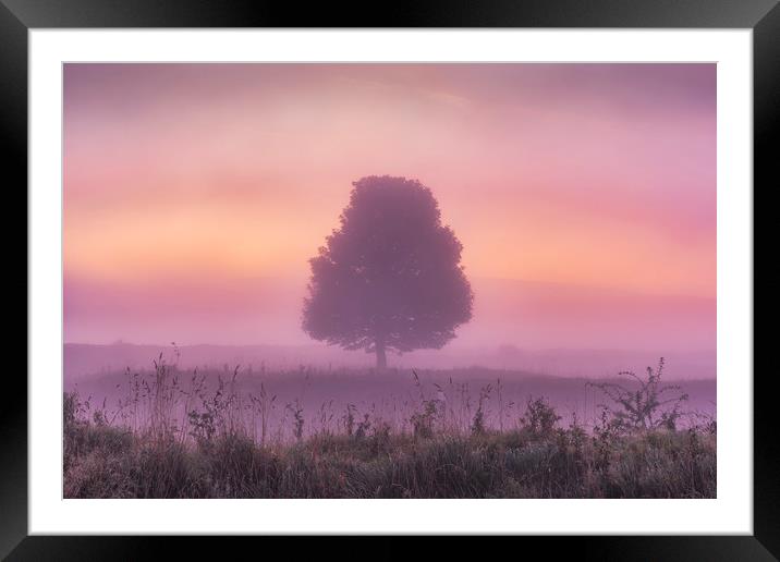 Derbyshire Dales Dawn Framed Mounted Print by John Finney