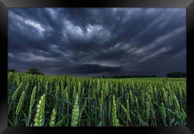 North Yorkshire Supercell over Wheat Crops Framed Print by John Finney