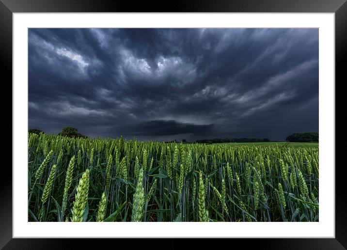 North Yorkshire Supercell over Wheat Crops Framed Mounted Print by John Finney