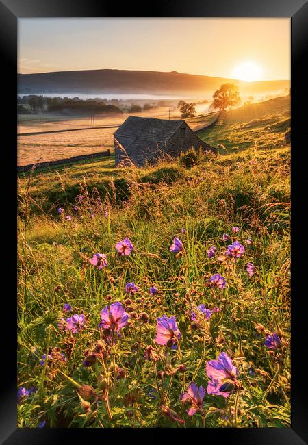 Hope Valley Summer Sunrise 2020. Peak District  Framed Print by John Finney