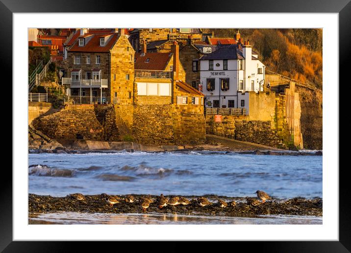 Sandpipers at Robin Hoods Bay, Whitby.  Framed Mounted Print by John Finney
