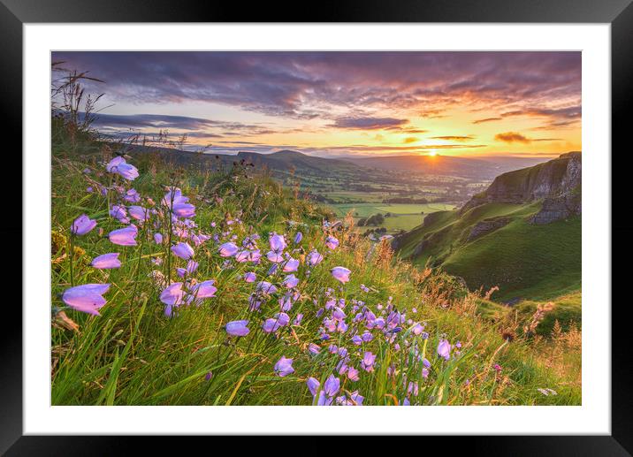 Harebell sunrise on Winnats Pass, Derbyshire Framed Mounted Print by John Finney
