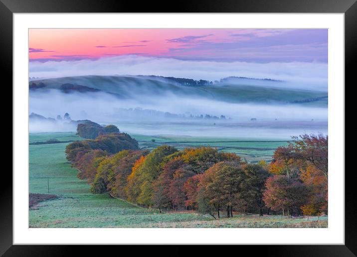 Dreamy autumn landscape Framed Mounted Print by John Finney