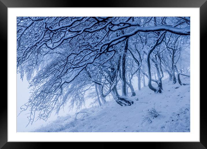Rushup Edge Trees in Winter Framed Mounted Print by John Finney