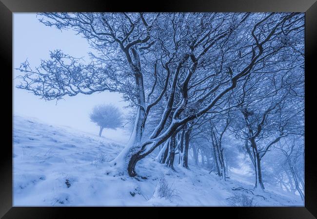 Rushup Edge Trees in Winter Framed Print by John Finney
