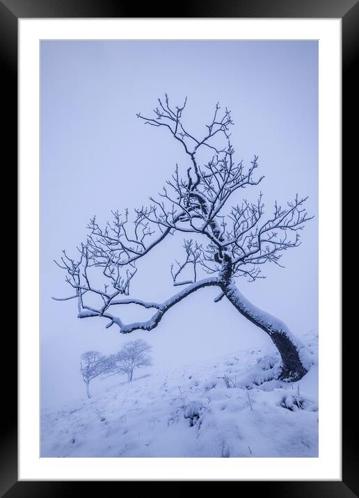 Rushup Edge Trees in Winter Framed Mounted Print by John Finney