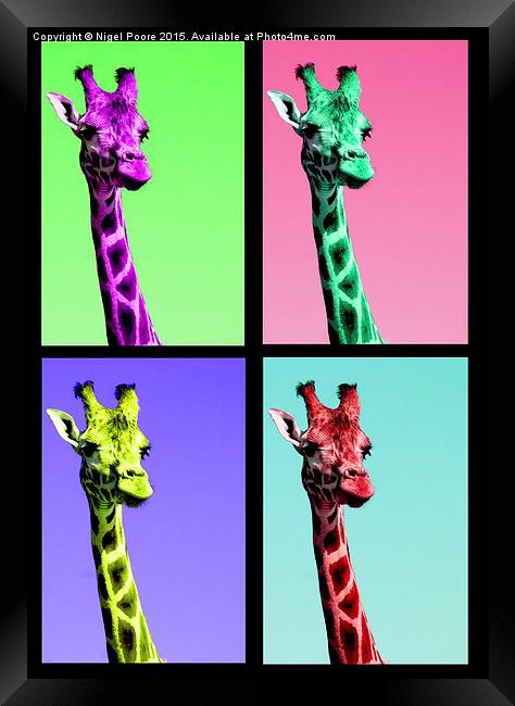 Warhol Giraffe Framed Print by Nigel Poore