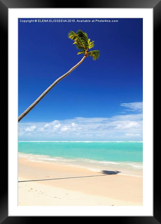 Tropical beach and palm tree Framed Mounted Print by ELENA ELISSEEVA