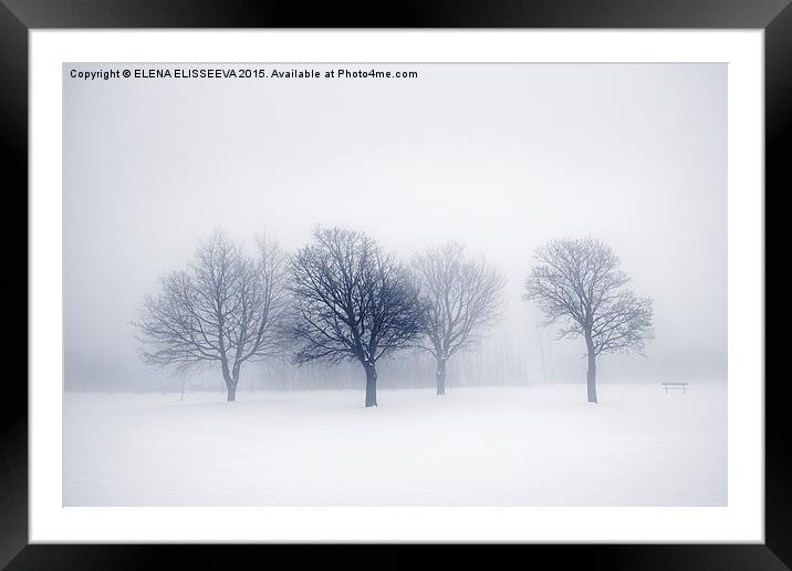 Winter trees in fog Framed Mounted Print by ELENA ELISSEEVA