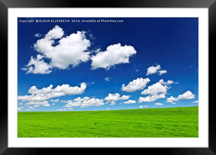 Green rolling hills under blue sky Framed Mounted Print by ELENA ELISSEEVA