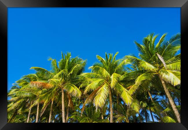 BORACAY 07 Framed Print by Tom Uhlenberg