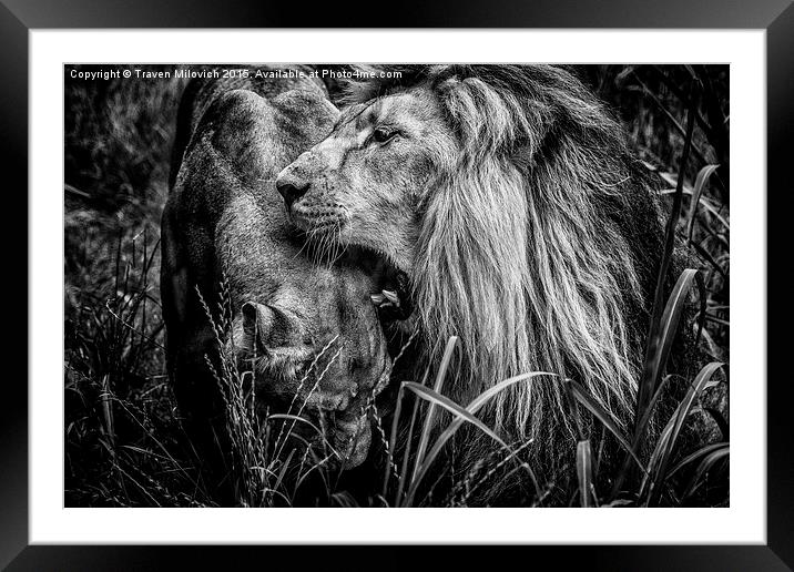 You will be queen Framed Mounted Print by Traven Milovich