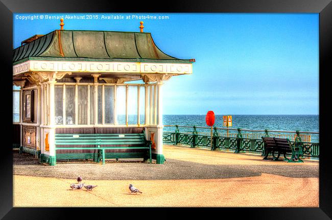  A Pigeon's Day Out Framed Print by Bernard Akehurst