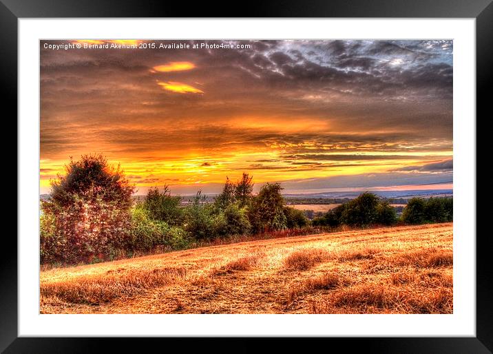  Golden Light On Golden Fields Framed Mounted Print by Bernard Akehurst