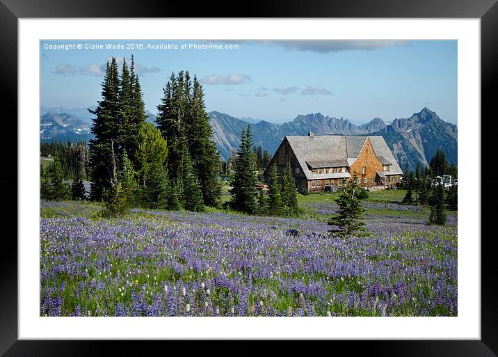   Beautiful portrait of Mt Rainier from Sunrise po Framed Mounted Print by Claire Wade