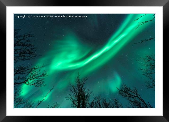 Northern Lights over Trees Framed Mounted Print by Claire Wade