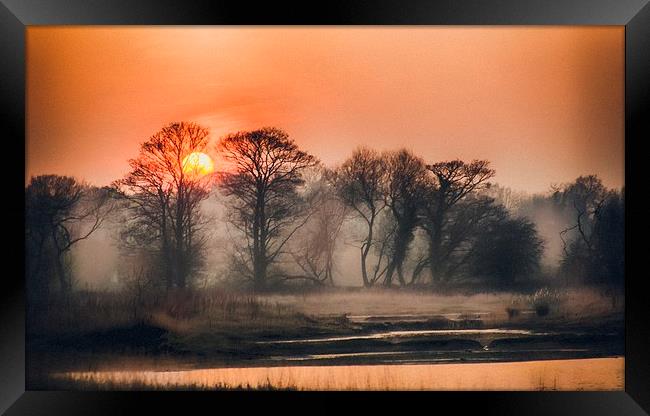  The Remains Of The Day Framed Print by Tim Clay