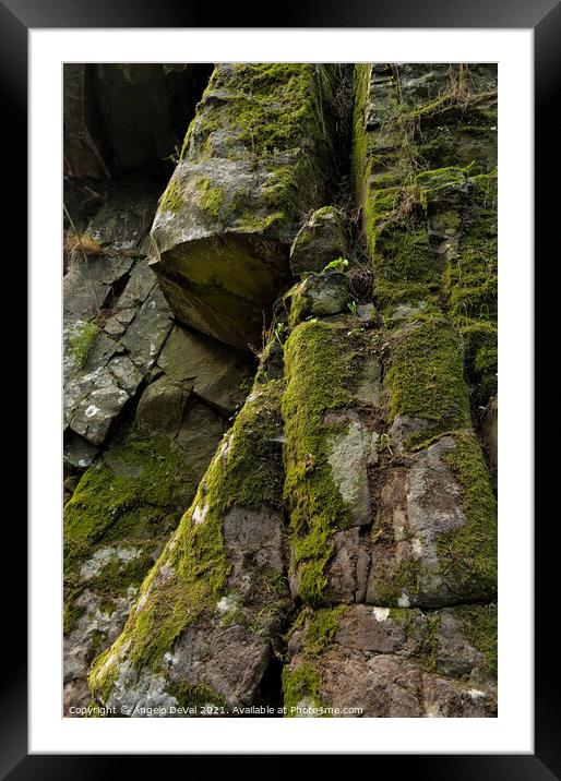 Natural Geometry and Moss Framed Mounted Print by Angelo DeVal