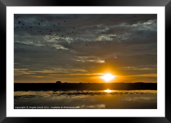 Birds Fly at Sunset in Faro Framed Mounted Print by Angelo DeVal