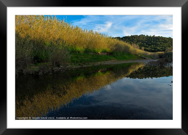 River Gilao by sunset  Framed Mounted Print by Angelo DeVal