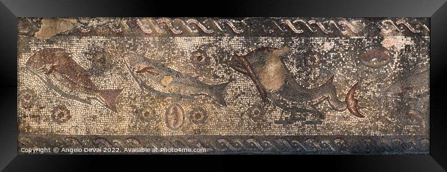 Roman Fish Mosaic Panel in Milreu Framed Print by Angelo DeVal