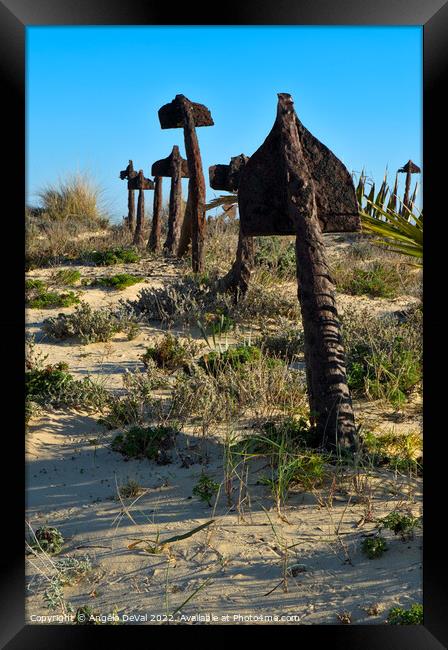 Anchors Resting on Tavira Beach Sands Framed Print by Angelo DeVal