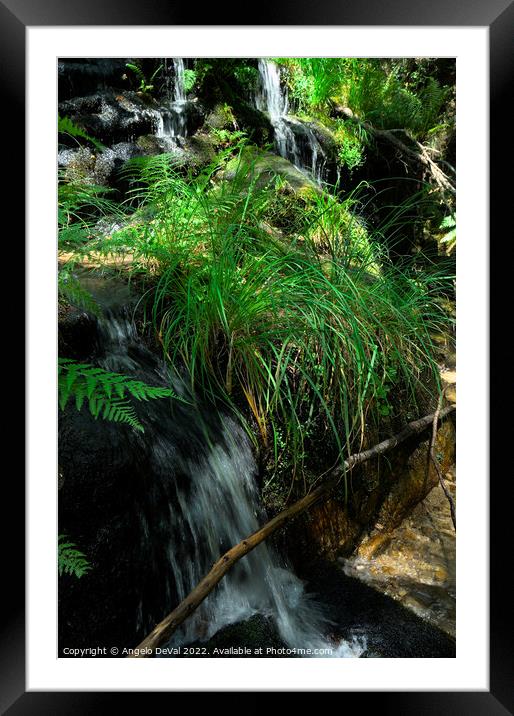 Waterfall and nature in Carvalhais Framed Mounted Print by Angelo DeVal