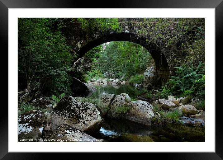 Antique stone bridge and river in Carvalhais Framed Mounted Print by Angelo DeVal