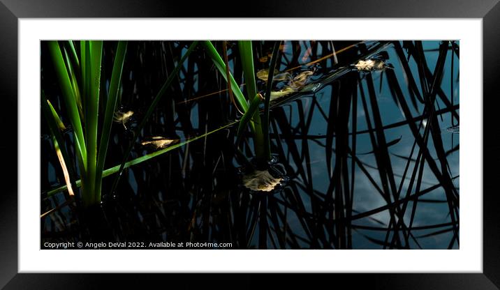 Leaves at the Quiet Pond Framed Mounted Print by Angelo DeVal