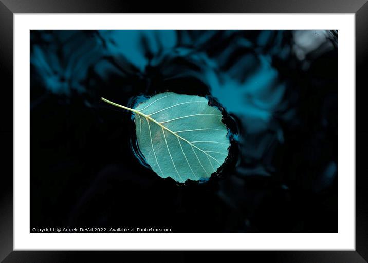 Relaxing Leaf on Pond Framed Mounted Print by Angelo DeVal