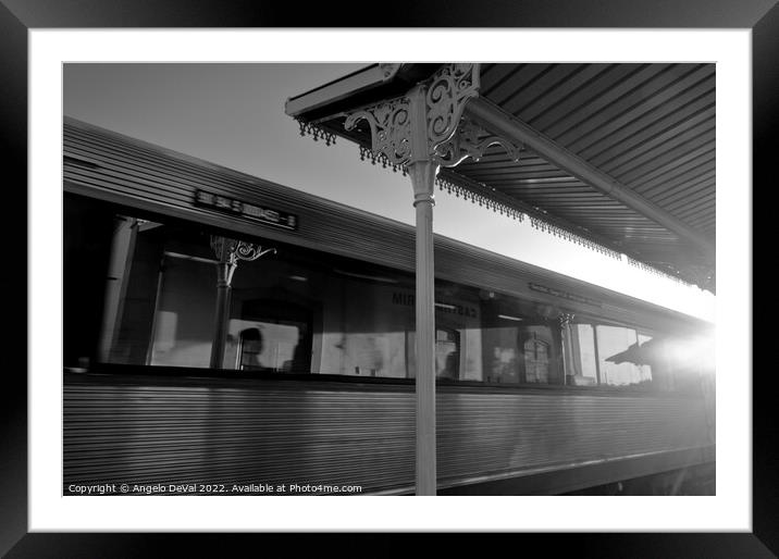 Train Passing by in Castro Marim Station  Framed Mounted Print by Angelo DeVal