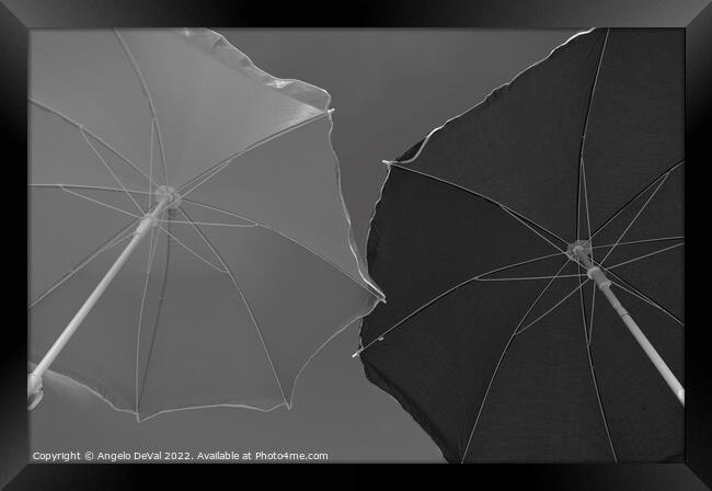 Monochrome Beach Umbrellas Framed Print by Angelo DeVal