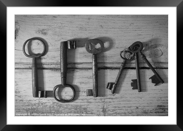 Skeleton Keys in Monochrome Framed Mounted Print by Angelo DeVal